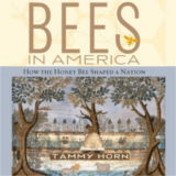 Bees in America