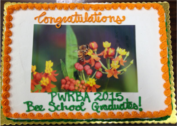 150326 Bee School Cake