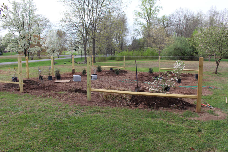 150418 Apiary From Cherry