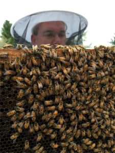 150419 E Examining Frame