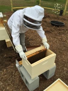 150419 S Moving Frames