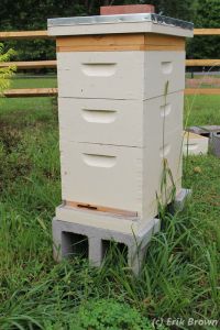 Mars on Aug 9, 2015, with the feeder on top.