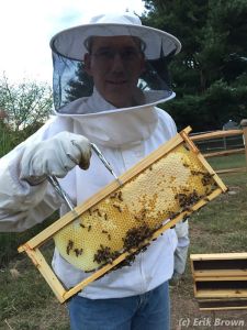 150920 Foundationless Frame