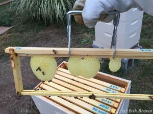 150920 Starting Frame