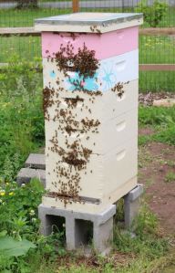 Mars, after my inspection