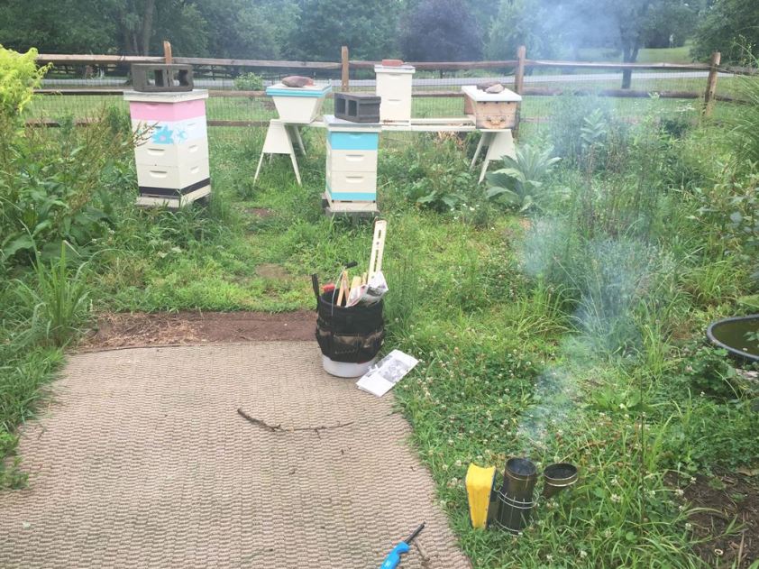 160617 Apiary