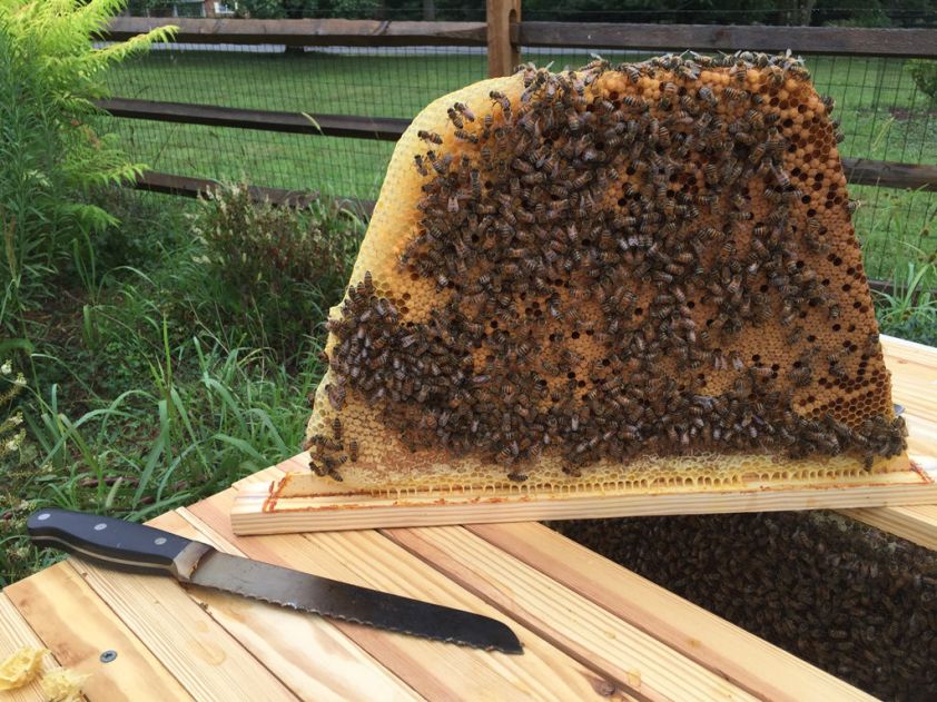 160731 Saturn Frame2