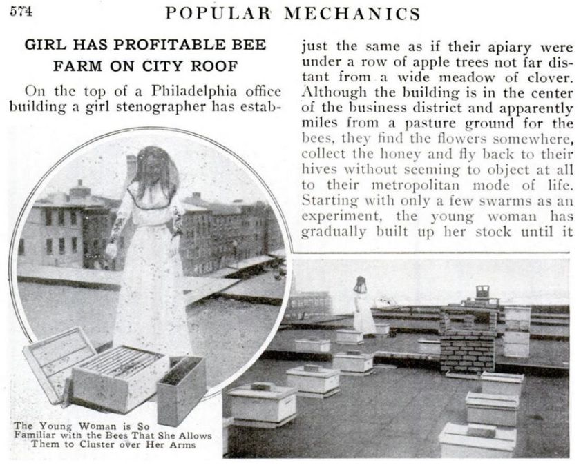 1914-girl-has-bee-farm