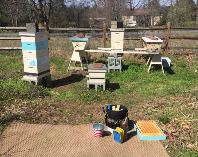 170402a Apiary
