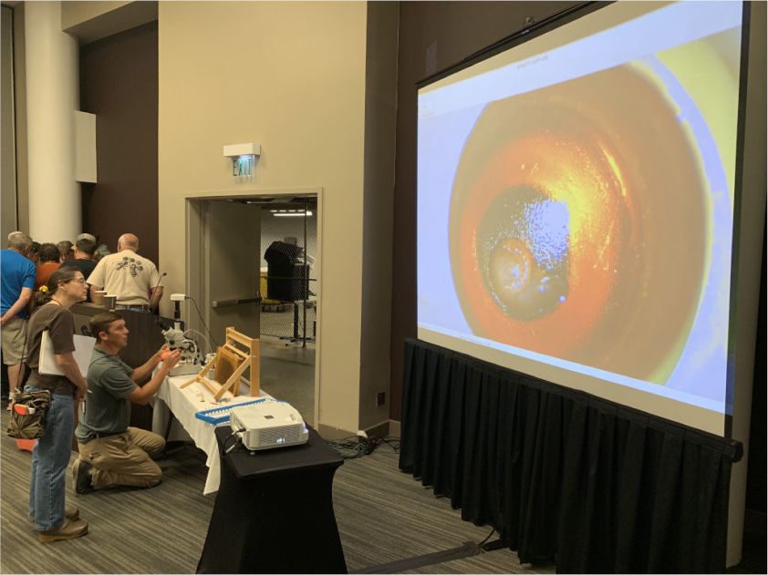 190716 EAS Queen Rearing