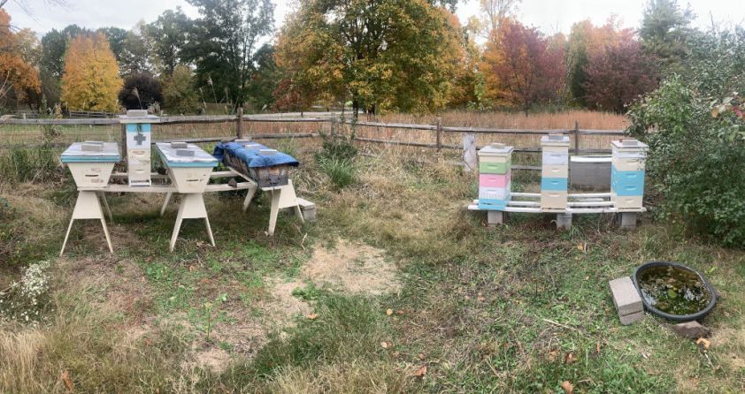 2019 Oct Apiary